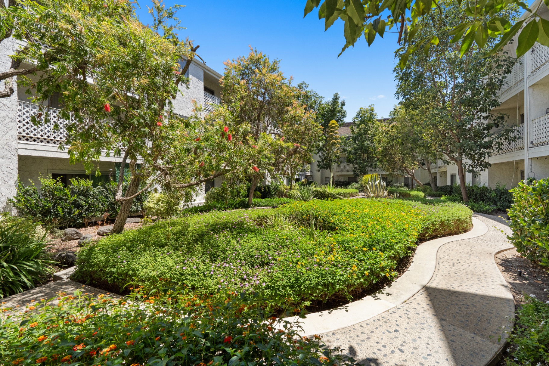 Lush interior courtyard garden with flowering shrubs and winding path